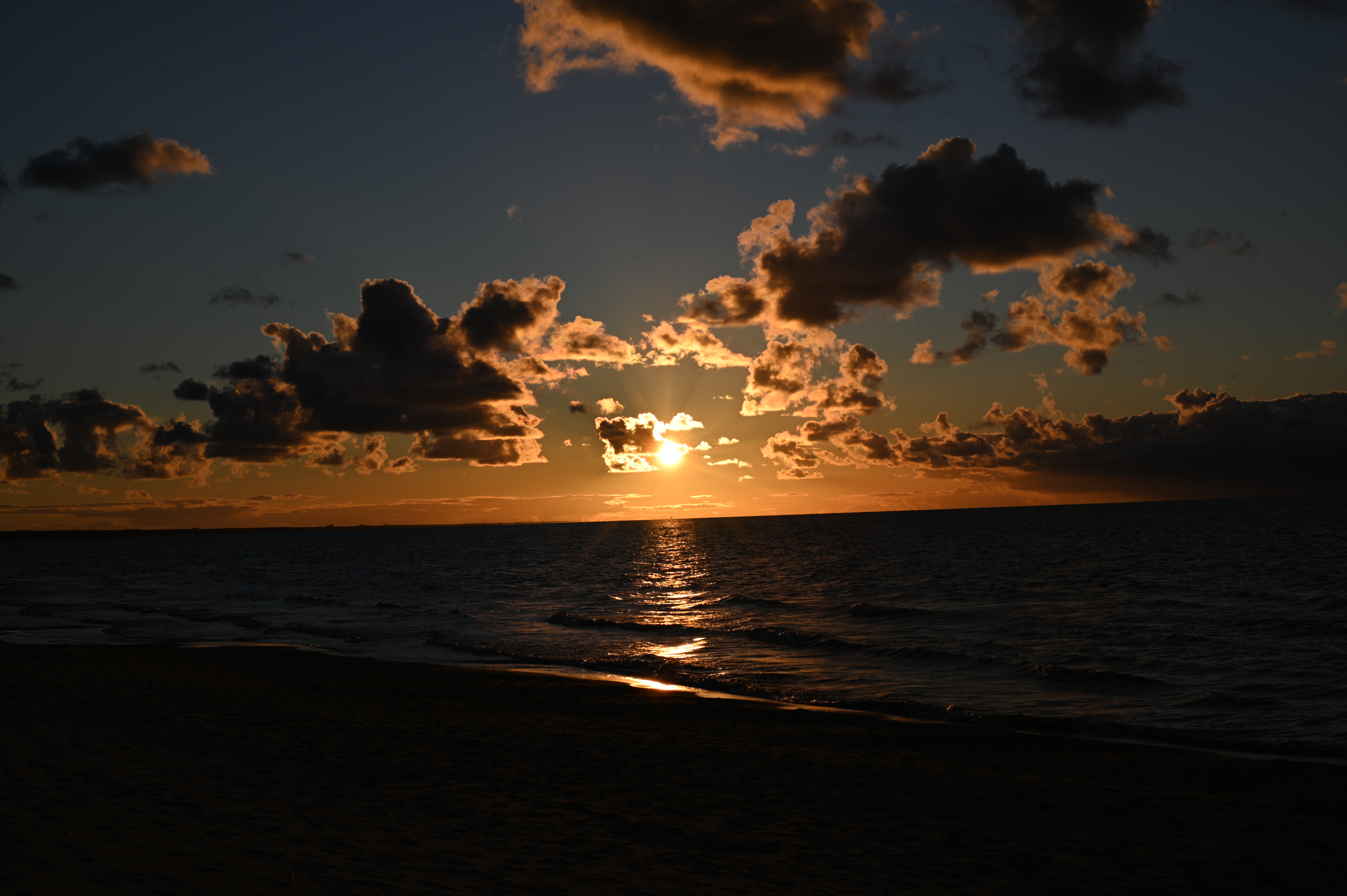 2025/10/18 - walk/DSC_0350.JPG